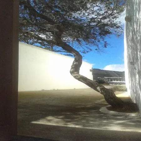 公寓 Sleeps 4 Wifi La Vegueta